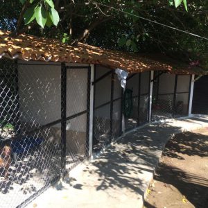 Central Acopio Animal Shelter / transformation with all of our help