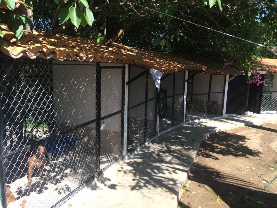 Central Acopio Animal Shelter / transformation with all of our help