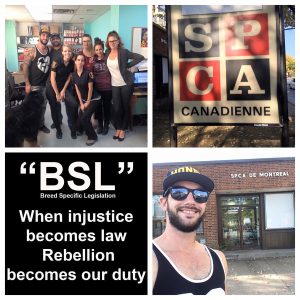 2016  Montreal END BSL Advocacy and Rescue Mission.