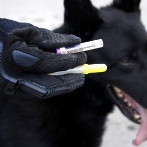 OPIOD OVERDOSES IN DOGS / NARCAN TREATMENT