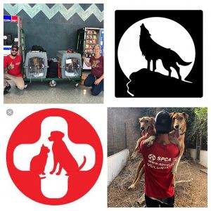 SPCA International : Operation Baghdad Pups / Africa 2019