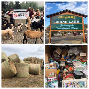 2018 BC Wildfire Animal Relief Mission
