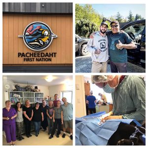 Pacheedaht First Nations Spay and Neuter Clinic 2019
