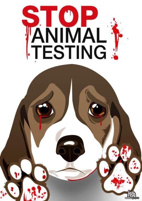 LABORATORY ANIMAL TESTING AND ABUSE IN CANADA - RainCoast Dog Rescue
