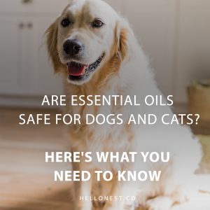 ARE ESSENTIAL OILS SAFE FOR DOGS?