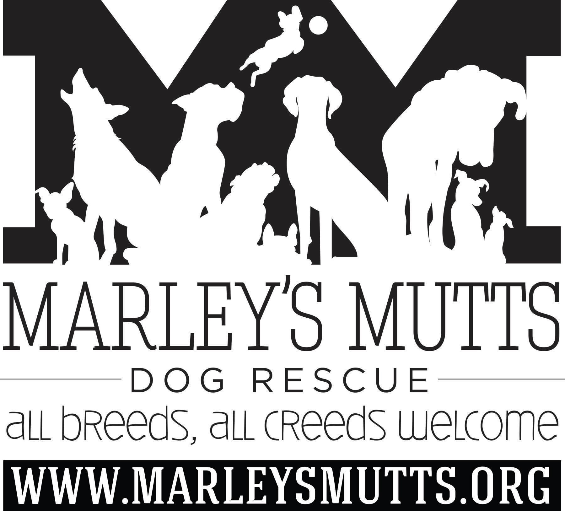 You are currently viewing Marley’s Mutts